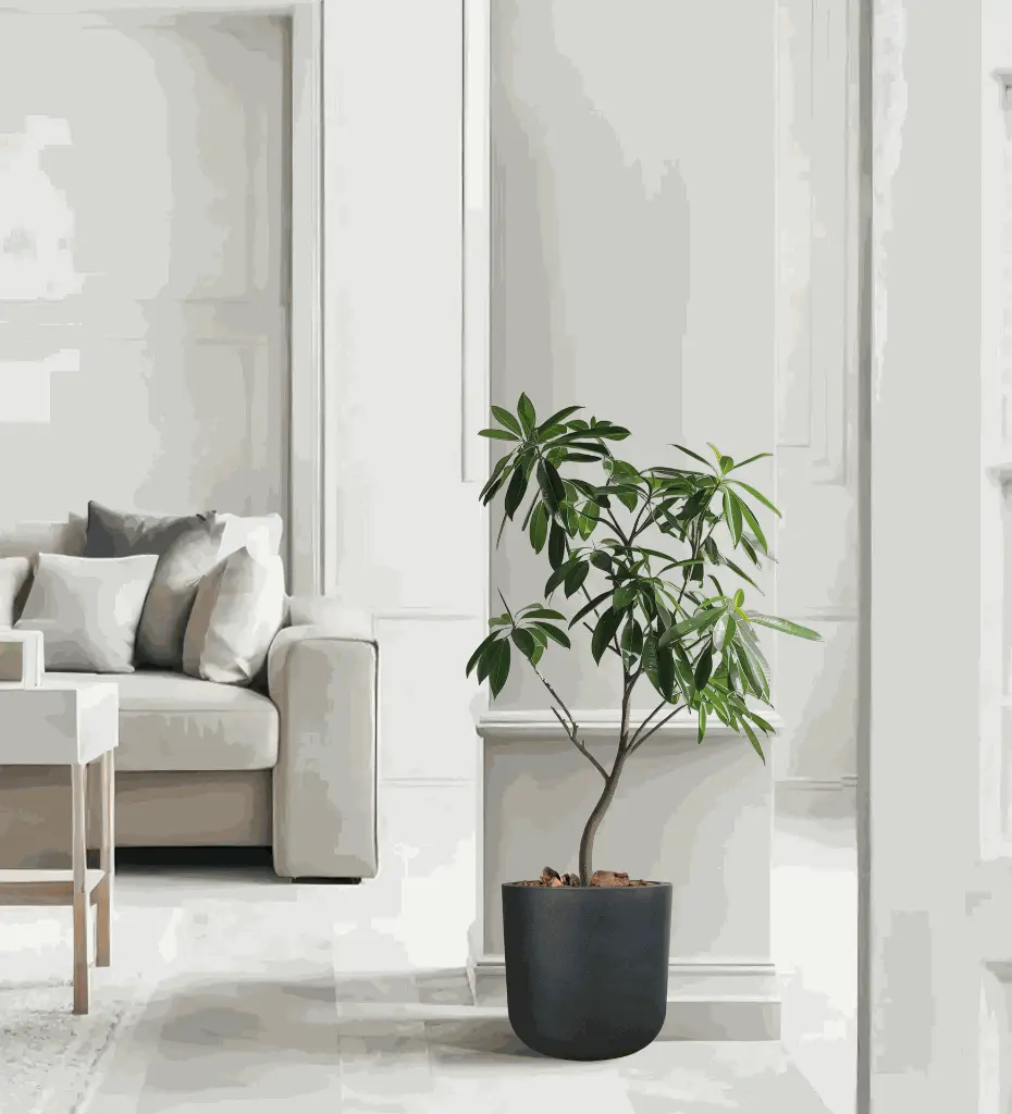 Pot Newpot-Coal Black.webp