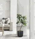 Pot Newpot-Coal Black.webp