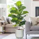 Pot Newpot-Chalk Beige.webp
