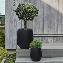 Pot Mount Wilson-Coal Black.webp
