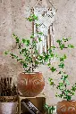 Pot Nature Ridged Bowl-Cedar Brown.webp
