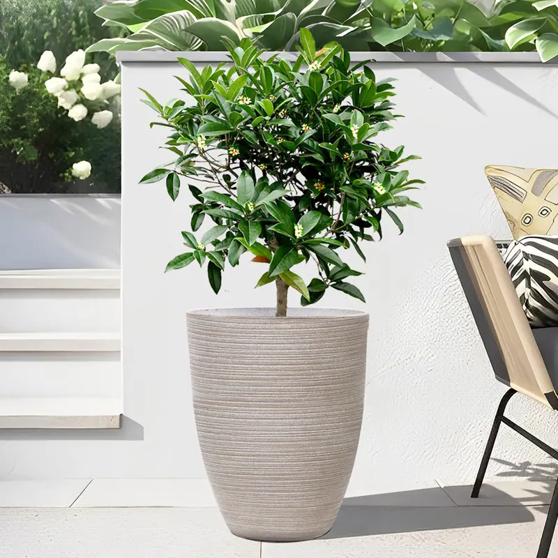 Pot Soho Round-Ginger Root.webp