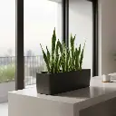 पॉट क्लासिक ट्रफ