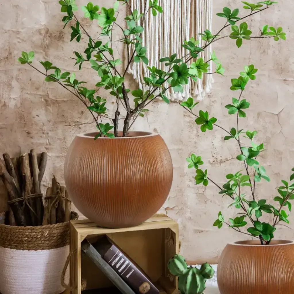 पॉट नेचर रिड्ज़्ड बाउल