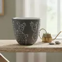 Pot Ceramic Desert cactus A577