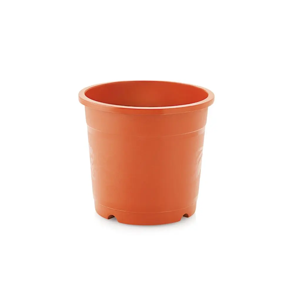Pot Nisarga 203
