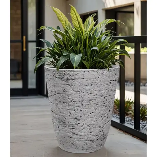 पॉट एस्ट्रो