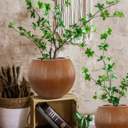 Pot Nature Ridged Bowl